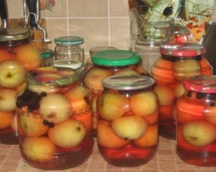 Une délicieuse recette pour faire de la compote de pommes entières pour l'hiver