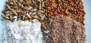 Was ist und Arten von Futtermitteln für Rinder, Zusammensetzung und Rezept, wie viel wird pro Tag benötigt