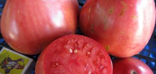 Caractéristiques et description de la variété de tomate Sevruga ou Pudovik, son rendement