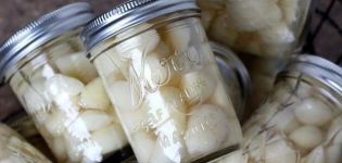 Comment bien sécher l'ail à la maison après l'avoir déterré?