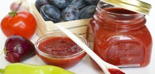 TOP 17 des recettes de cuisine étape par étape, comment faire du tkemali aux prunes pour l'hiver