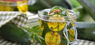 8 besten Rezepte zum Marinieren von Zucchini mit Knoblauch für den Winter