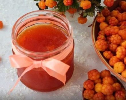 Wie man Moltebeeren zu Hause richtig lagert, frisch, gefroren und konserviert