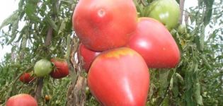 Caractéristiques et description de la variété de tomate Pink Flamingo, son rendement