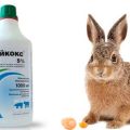 sur l'utilisation de Baykoks pour les lapins, la composition et la durée de conservation