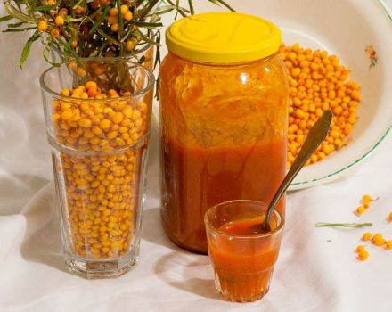 9 Rezepte für die Zubereitung von Sanddornpüree mit Zucker für den Winter
