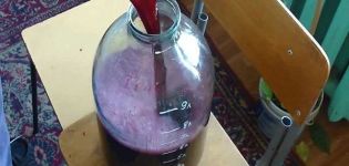 Schritt-für-Schritt-Technologie zur Herstellung von Wein mit eigenen Händen zu Hause