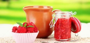 TOP 9 Schritt-für-Schritt-Rezepte für die Herstellung von Himbeeren mit Zucker für den Winter ohne Kochen