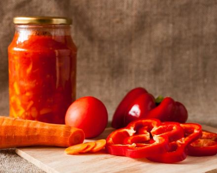 TOP 3 Rezepte für die Zubereitung ungarischer Vorspeisen für den Winter mit Paprika und Karotten