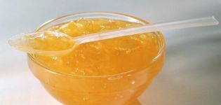 TOP 18 délicieuses recettes pour faire de la confiture de courgettes pour l'hiver