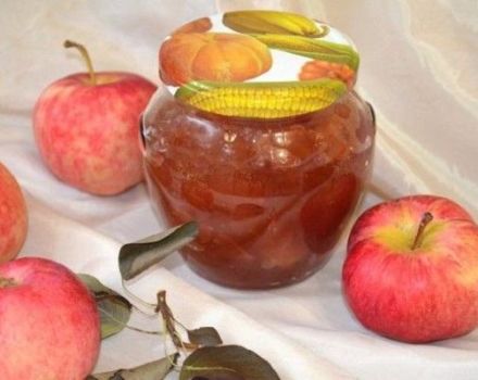 20 Rezepte für die Zubereitung von Apfelmarmelade für den Winter zu Hause