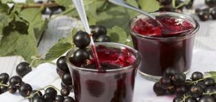 Recette de gelée de cassis cinq minutes pour l'hiver