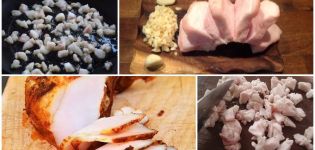 Was ist ein Hammelfettschwanz und wo befindet er sich? Wie sehen Nutzen und Schaden aus?