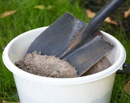 Comment nourrir, fertiliser et arroser les concombres en plein champ avec des remèdes populaires