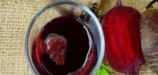 4 einfache Rezepte für die Zubereitung von Rote-Bete-Wein zu Hause