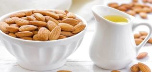 Règles et durée de conservation des amandes à la maison