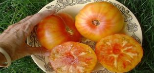 Description de la variété de tomate Ananas hawaïen, caractéristiques de culture et d'entretien