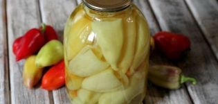 8 besten Rezepte für die Zubereitung von Winterpaprika zum Füllen