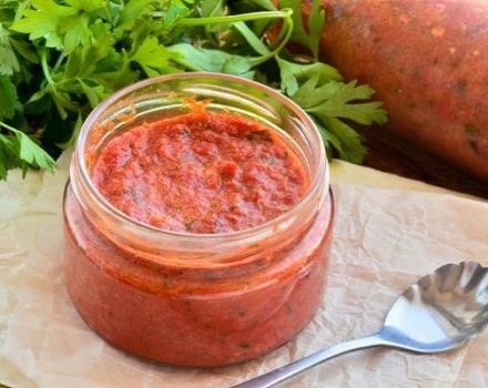 TOP 4 Rezepte für die Herstellung von Adjika aus Paprika für den Winter