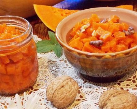 TOP 11 recipes for step-by-step cooking pumpkin jam with dried apricots