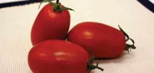 Beschreibung der Tomatensorte Marianna F1, ihrer Eigenschaften und ihres Ertrags