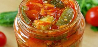 Rezepte für die Herstellung von Gurkenlecho werden Sie Ihre Finger für den Winter lecken