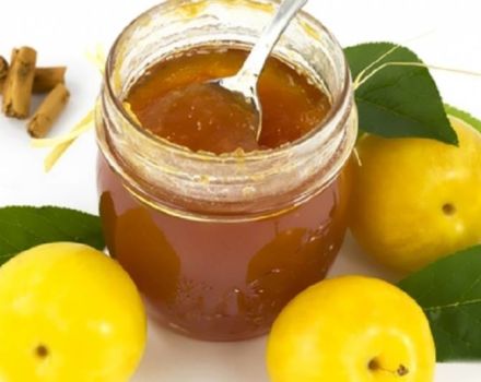 La recette la plus délicieuse et la plus simple pour faire de la confiture de cerises et de prunes pour l'hiver