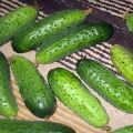 Description de la variété de concombre Boy avec un doigt et ses caractéristiques