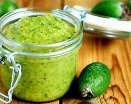 12 délicieuses recettes pour faire de la confiture de feijoa pour l'hiver