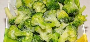 TOP 10 des recettes sur la façon de congeler le brocoli pour l'hiver à la maison avec et sans ébullition