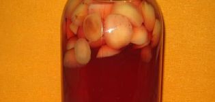 A simple recipe for making apple and cherry compote for the winter