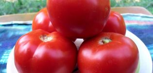 Eigenschaften und Beschreibung der Tomatensorte Red Guard, deren Ertrag