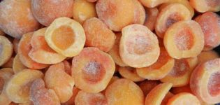 How to properly freeze peaches for the winter fresh in the freezer at home
