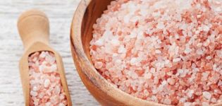 Was kann ein Fungizid zu Hause ersetzen und wie werden die Mittel verwendet?