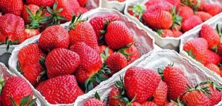 Comment bien conserver les fraises à la maison pour l'hiver