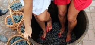 Comment presser correctement les raisins sur le vin à la maison et créer un pressoir de vos propres mains