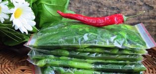 Spinat für den Winter zu Hause ernten