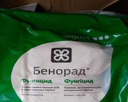 Anweisungen für die Verwendung von Fungizid Benorad und Verbrauchsraten