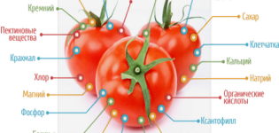 Welche Vitamine sind in Tomaten enthalten und wie sind sie nützlich?