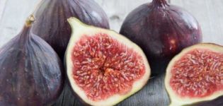 9 meilleures recettes de figues d'hiver à la maison