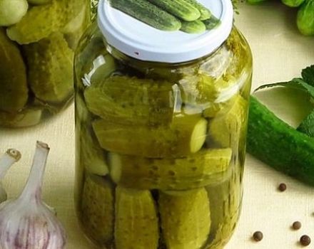 TOP 15 des recettes pour mariner les concombres avec de l'acide citrique pour l'hiver dans des pots de 1 à 3 litres