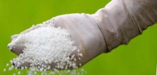 L'utilisation de l'urée pour les concombres comme top dressing