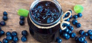 TOP 6 recipes for making blueberries in syrup for the winter