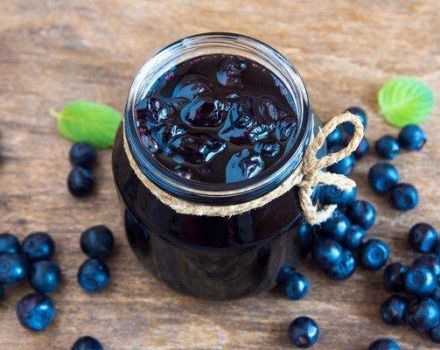 TOP 6 Rezepte für die Herstellung von Blaubeeren in Sirup für den Winter