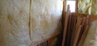 Instructions sur la façon d'isoler un poulailler pour l'hiver de vos propres mains