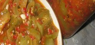 Step-by-step recipe for green tomatoes in tomato for the winter