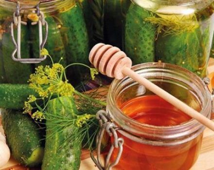 Recettes pour mariner les concombres avec du miel pour l'hiver