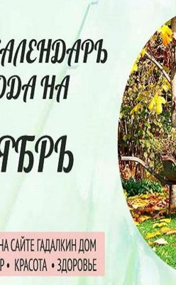 Calendrier lunaire des semis de plantation du jardinier et du jardinier pour septembre 2020