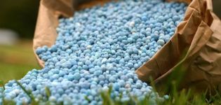 Comment nourrir les concombres s'il n'y a pas assez d'engrais azotés