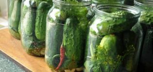 Die Hauptgründe, warum Gurkengläser explodieren, wie man Konserven spart oder wiederholt, ist das Essen